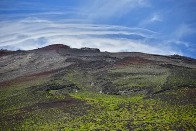 DSC_3628 (Large).JPG